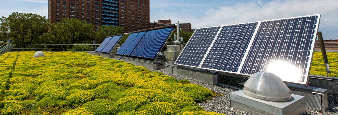 Just Solutions article by Cristina Munoz De La Torre featured image of solar panels on a rooftop next to yellow flowers
